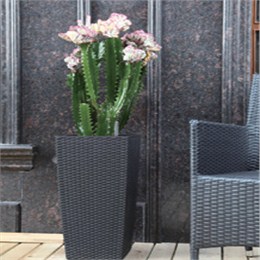 做代理就选择盛尔达！