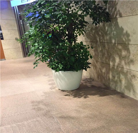 【莱之秀】矮胖圆形懒人烤漆自吸水蓄水内外筒酒店租摆客厅绿萝花盆
