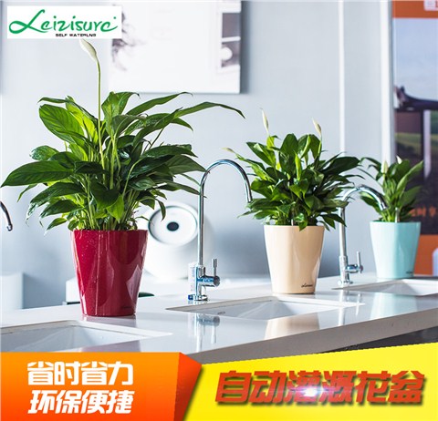 【莱之秀】自吸水储水懒人烤漆工艺白掌绿萝花盆办公桌面PQ2