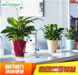 【莱之秀】自吸水储水懒人烤漆工艺白掌绿萝花盆办公桌面PQ2