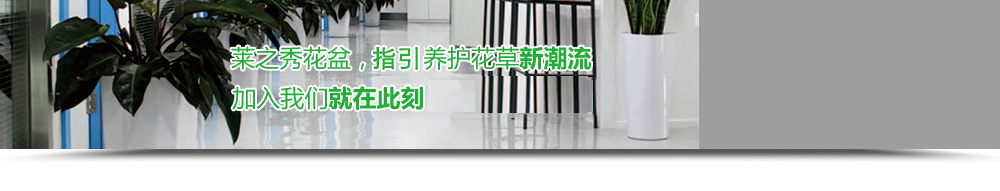 莱之秀花盆