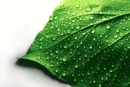 想偷懒又想养花---“莱之秀花盆”