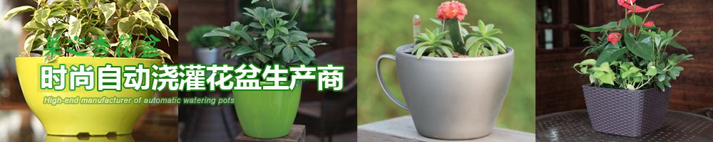 自动浇灌花盆