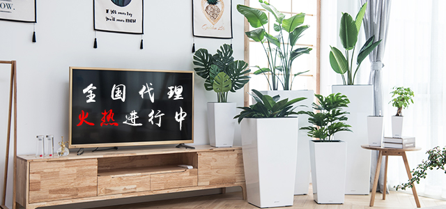 塑料花盆
